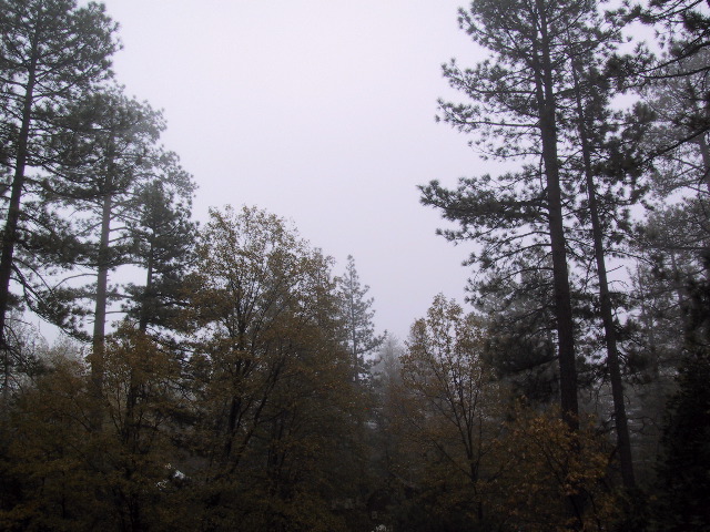Rainy, cold, hail, we've got it all!